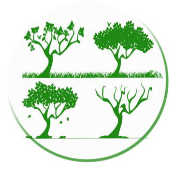 logo environnement tremplin